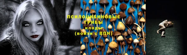 марки lsd Горняк