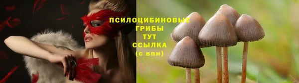 марки lsd Горняк