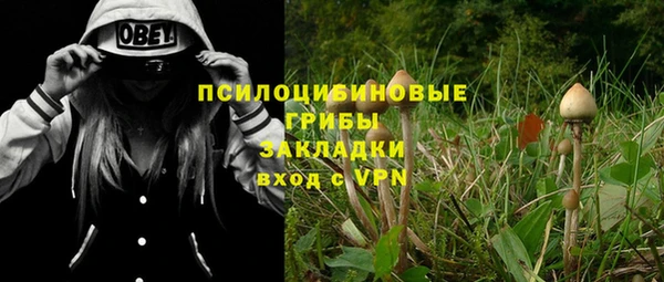 марки lsd Горняк