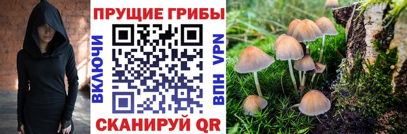 Галлюциногенные грибы Magic Shrooms  Купить  Лабинск 